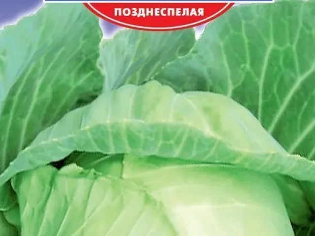 Катюша