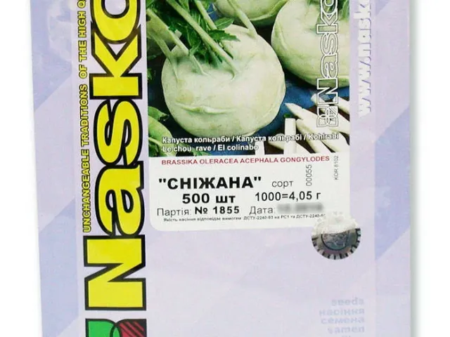 Снижана