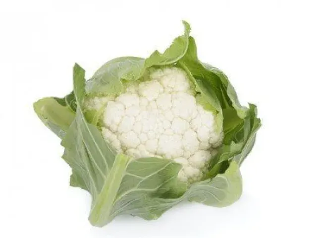 Viturri
