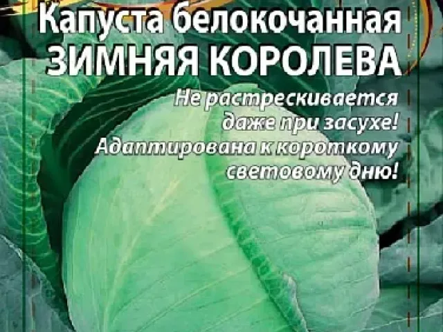 Зимняя Королева