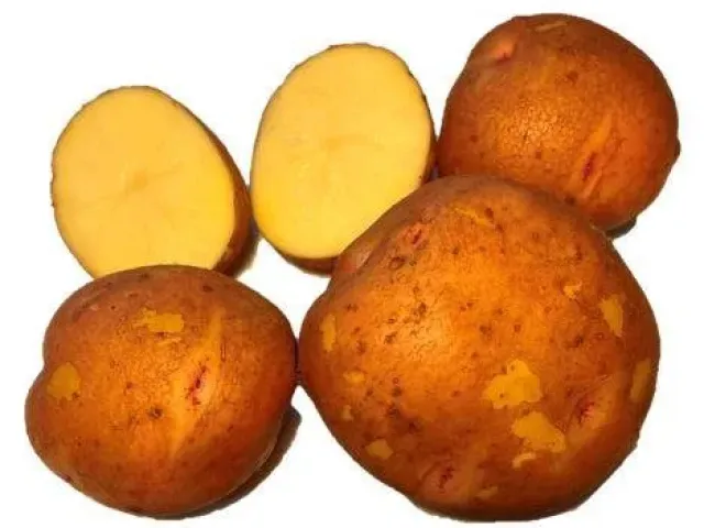 Алка