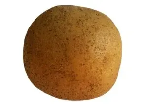 Картофель сорта Архидея