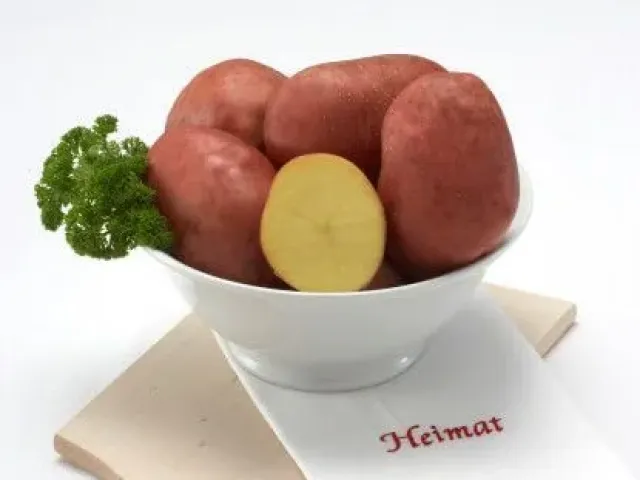 Беллароза