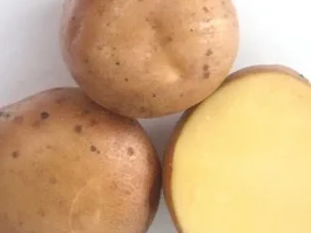 Chernihivskaya Rannaya