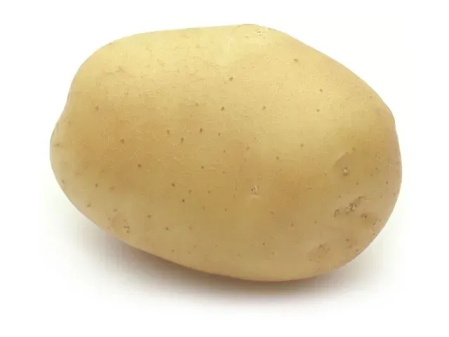 Дербі
