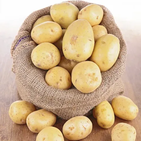 Bag of potatoes Evora