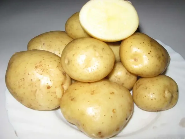 Фреско