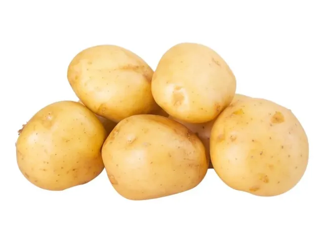 YUGANA