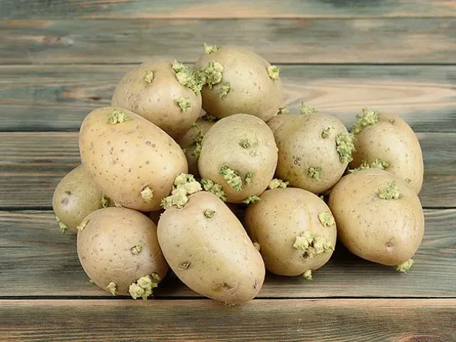 Купава