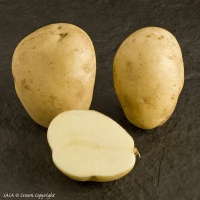 Three potatoes and one halved on a dark background - SHELFORD
