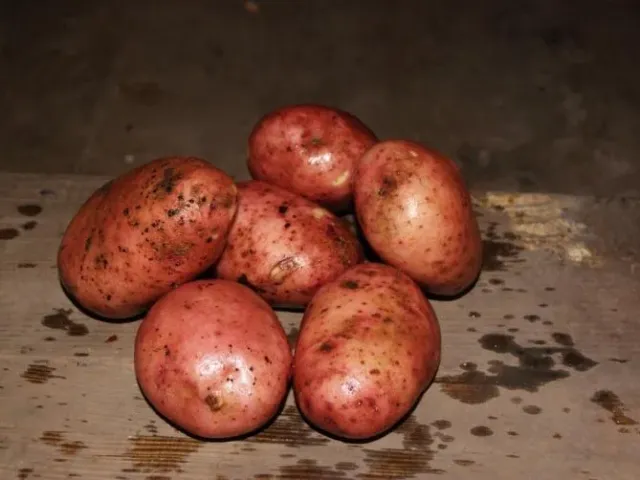 Симфония