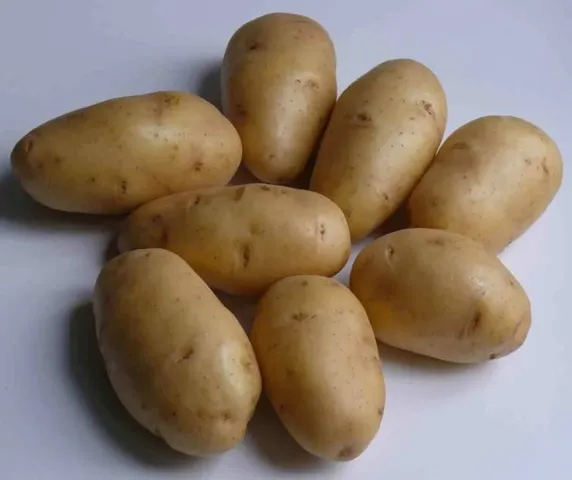 Potatoes on white background - SINGAIVKA