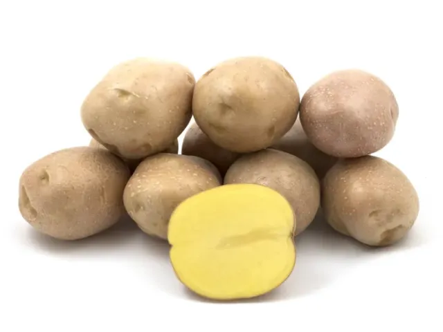 Солара