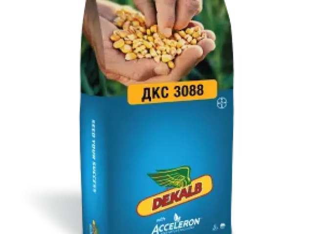 06 TsDKh 0766