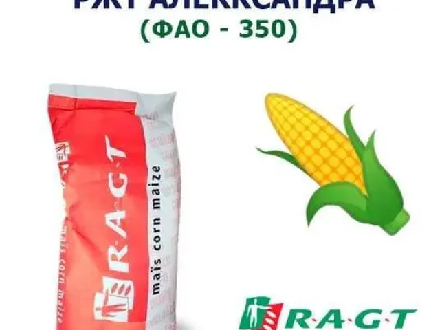 Александра