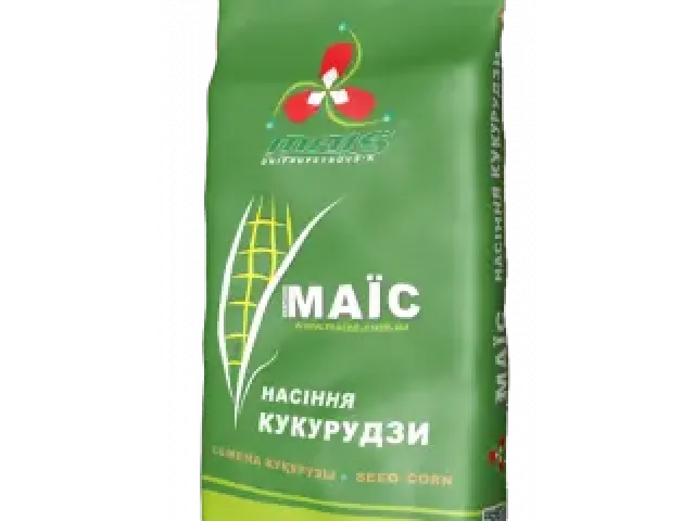 Ария