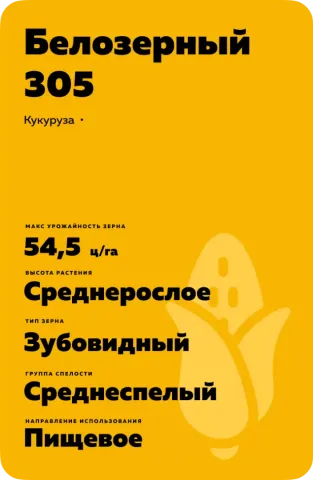 Желтый пакет с семенами кукурузы Белозерный 305