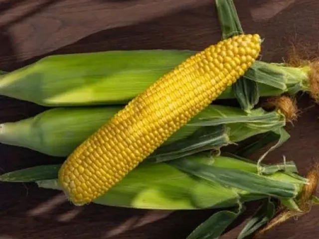 ДАХ 4001