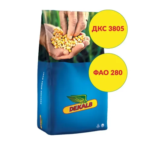 Мішок насіння кукурудзи ДКС 3805 від DeKalb - ДКС 3880