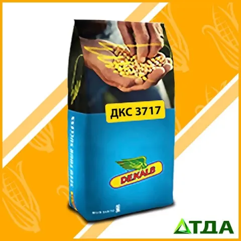 Bag of corn seeds DKC 3717 by company DDK - DKC3717
