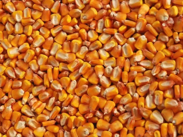 DKC4530