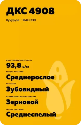 Жовтий пакет насіння кукурудзи ДКС 4908 - ДКС4908