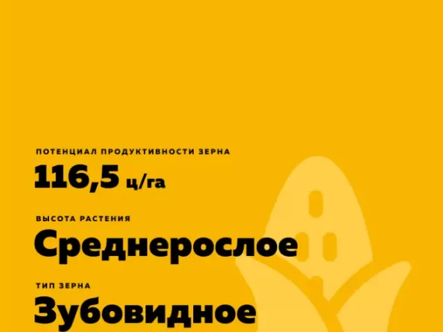 ДКС 3169