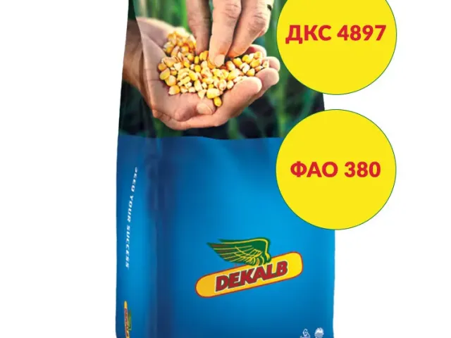 DKS 4897