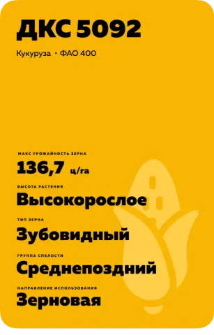 Жовтий пакет насіння кукурудзи ДКС 5092