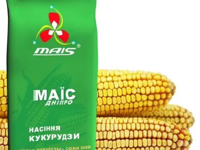 ДМ Уния