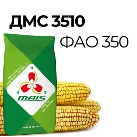 Пакет насіння кукурудзи ДМС 3510 ФАО 350 з зображенням початків - ДМК Бланка