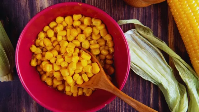Corn kernels in a red bowl with a wooden spoon and corn cobs in the background - EG 5024