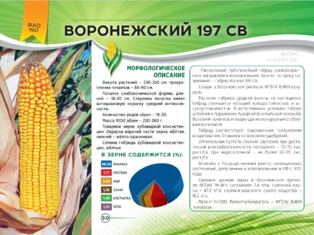 Ельф 197 МВ