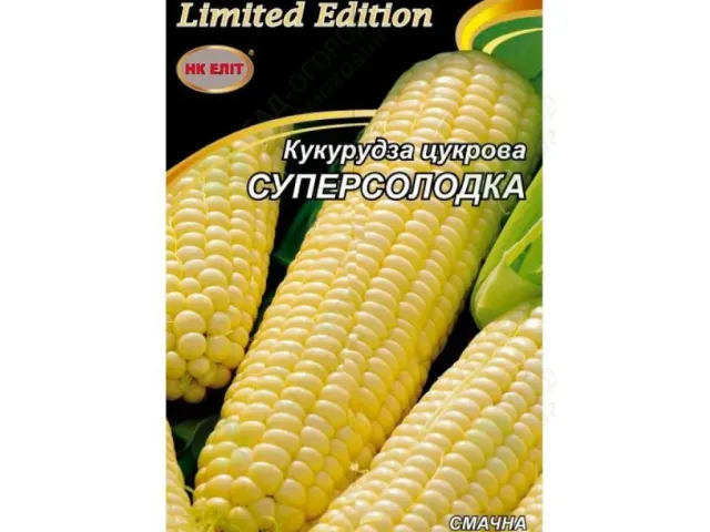 Елита