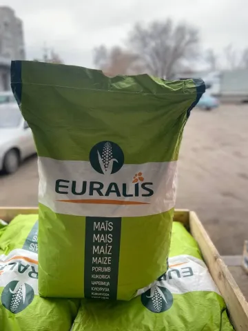 Packaging of Fiddle corn seeds from Euralis