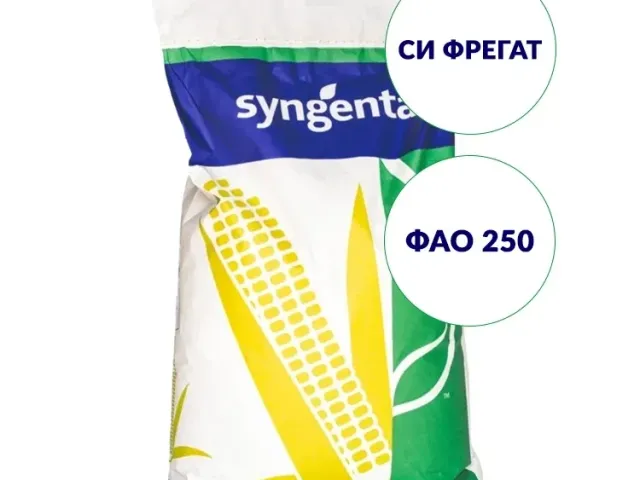 Фрегат 320