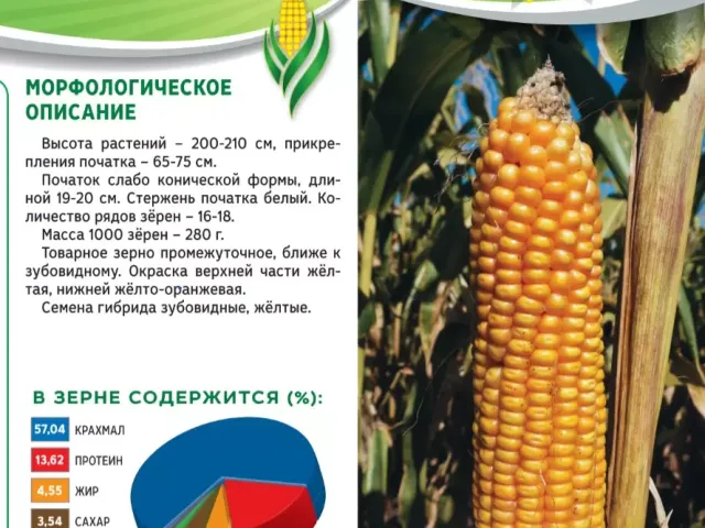 К 170