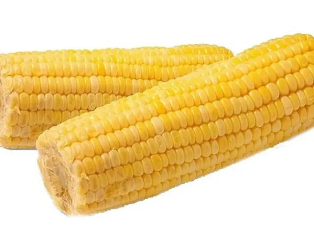 К 445 Х К 450