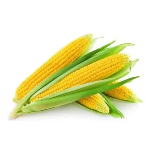 Cadixio corn cobs