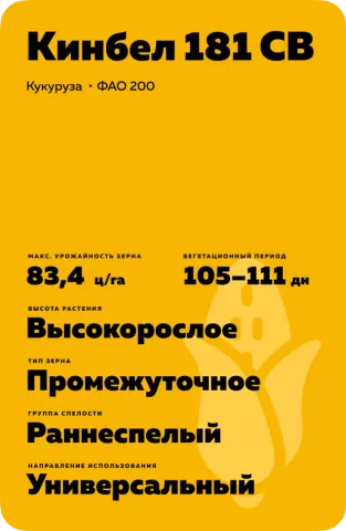 Семена кукурузы Кинбел 181 СВ, желтый пакет с характеристиками
