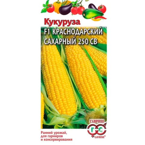 Seed packet of corn variety Krasnodarskiy Sakharney 250 SV - Contour 250 VS