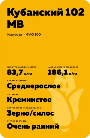 Пакет семян кукурузы Кубанский 102 МВ