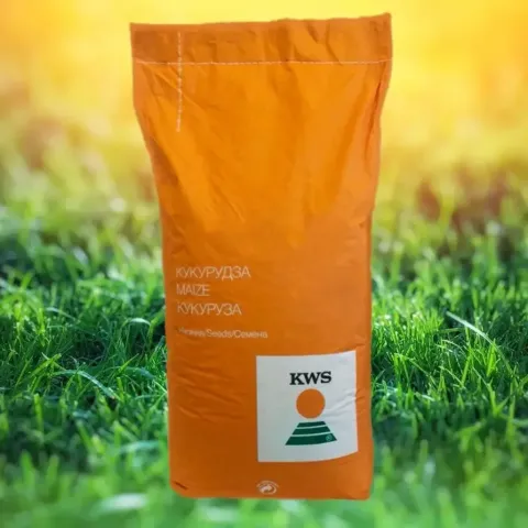 Branded KWS maize seed bag