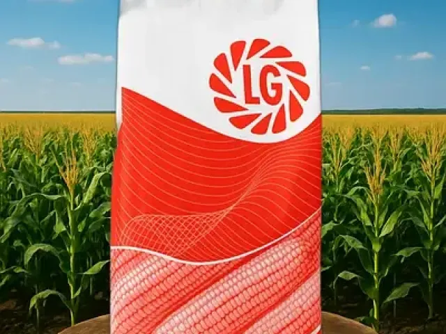 LG31228
