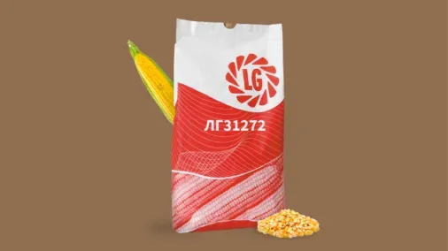 Corn seed bag LG31252