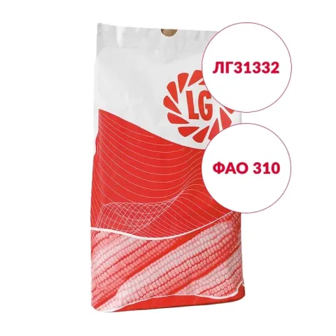 Branded bag of LG31332 corn seeds by Limagrain