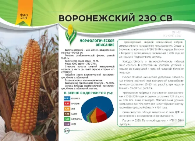 Пакет семян кукурузы Воронежский 230 СВ