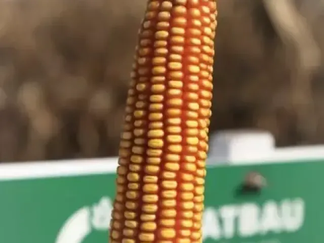 Лопино