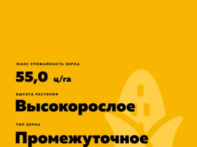 ЛС Парисиана
