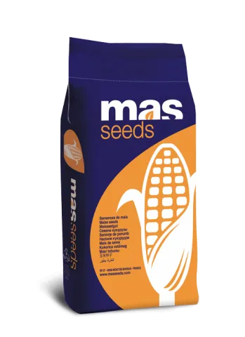 Мешок семян кукурузы MAS 24N от производителя MAS Seeds - МАС 24Н